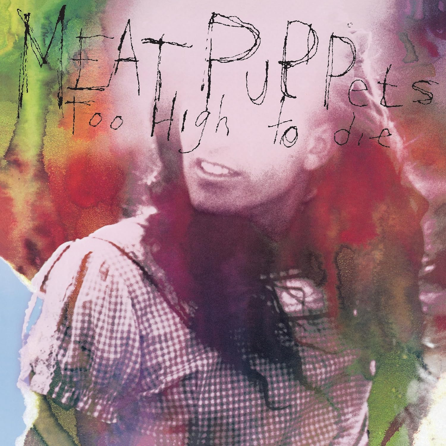 Meat Puppets - Too High To Die (Vinyl LP (nagylemez))