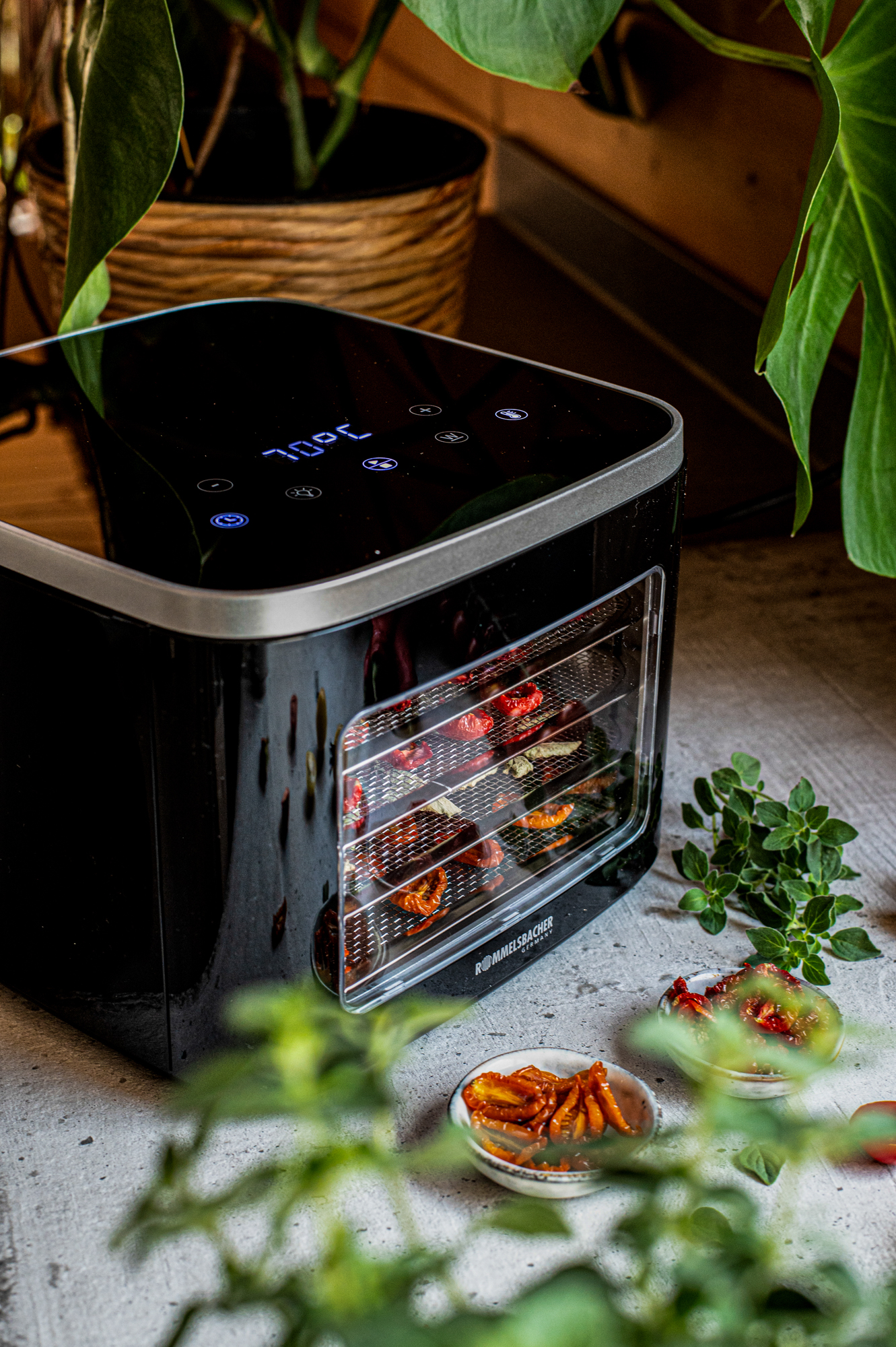 Ein schwarzer Dörrautomat mit getrockneten Tomaten. Basilikum und kleine Schalen mit Tomaten sind vorne. Pflanzen im Hintergrund.