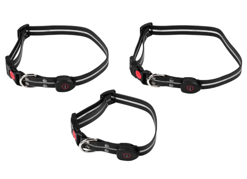 Trzy czarne obroże dla psów z odblaskowymi paskami i czerwonymi światłami przycisków. Obroże są na białym tle.