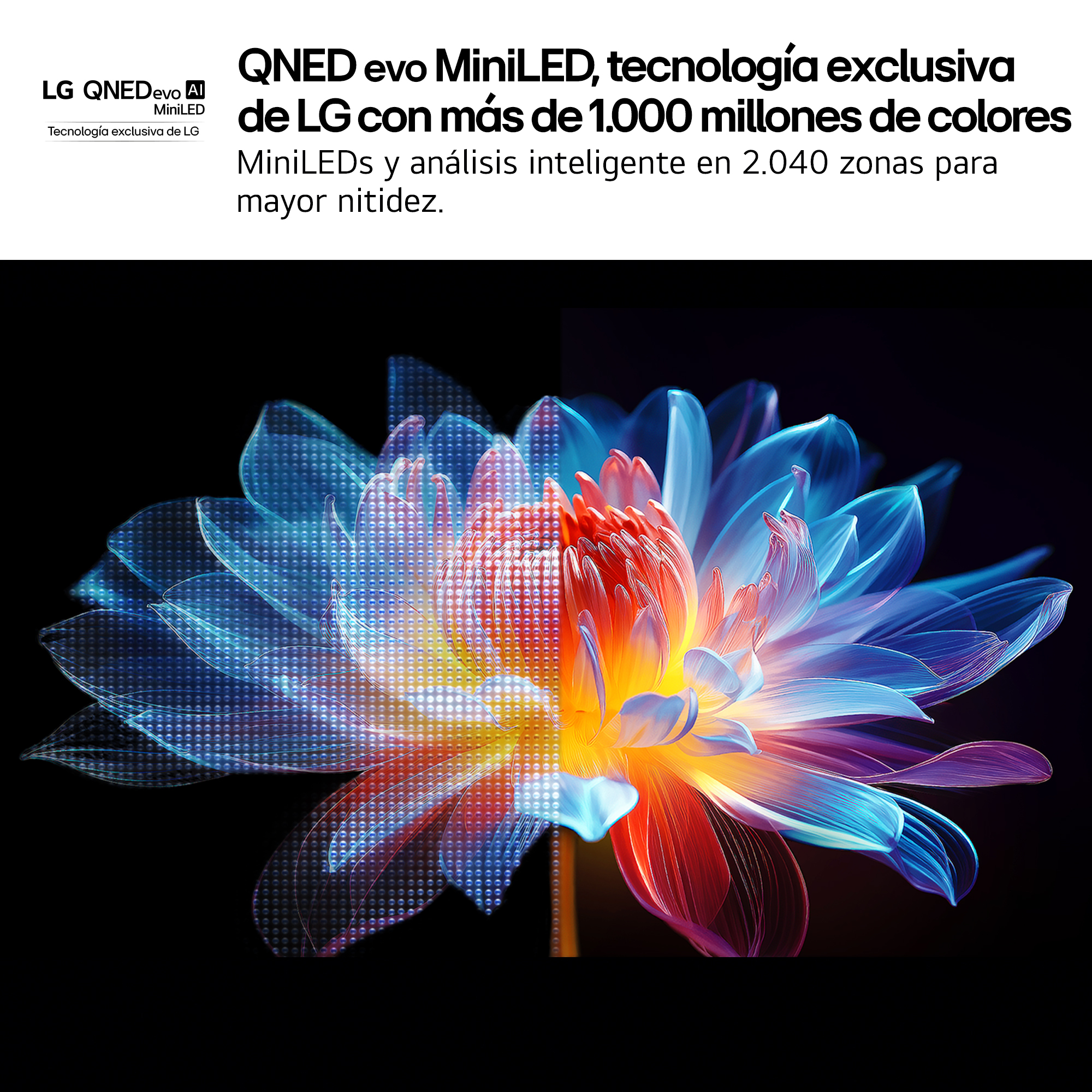 Una imagen artística de una flor, dividida por la mitad con diferentes efectos de iluminación y colores, con texto superpuesto.