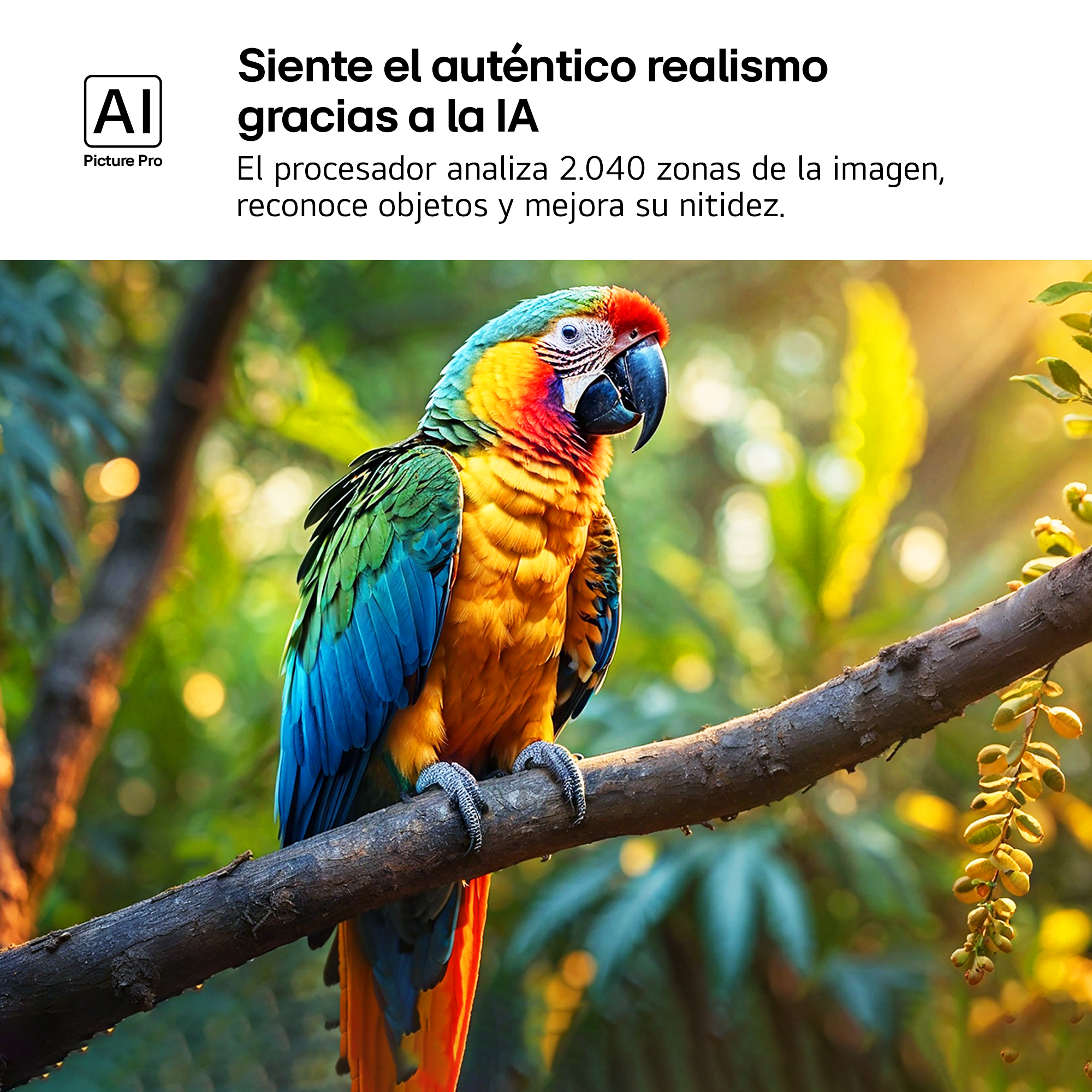 Un guacamayo vibrante con plumas azules, verdes, amarillas y rojas se posa en una rama, sobre un fondo verde borroso.
