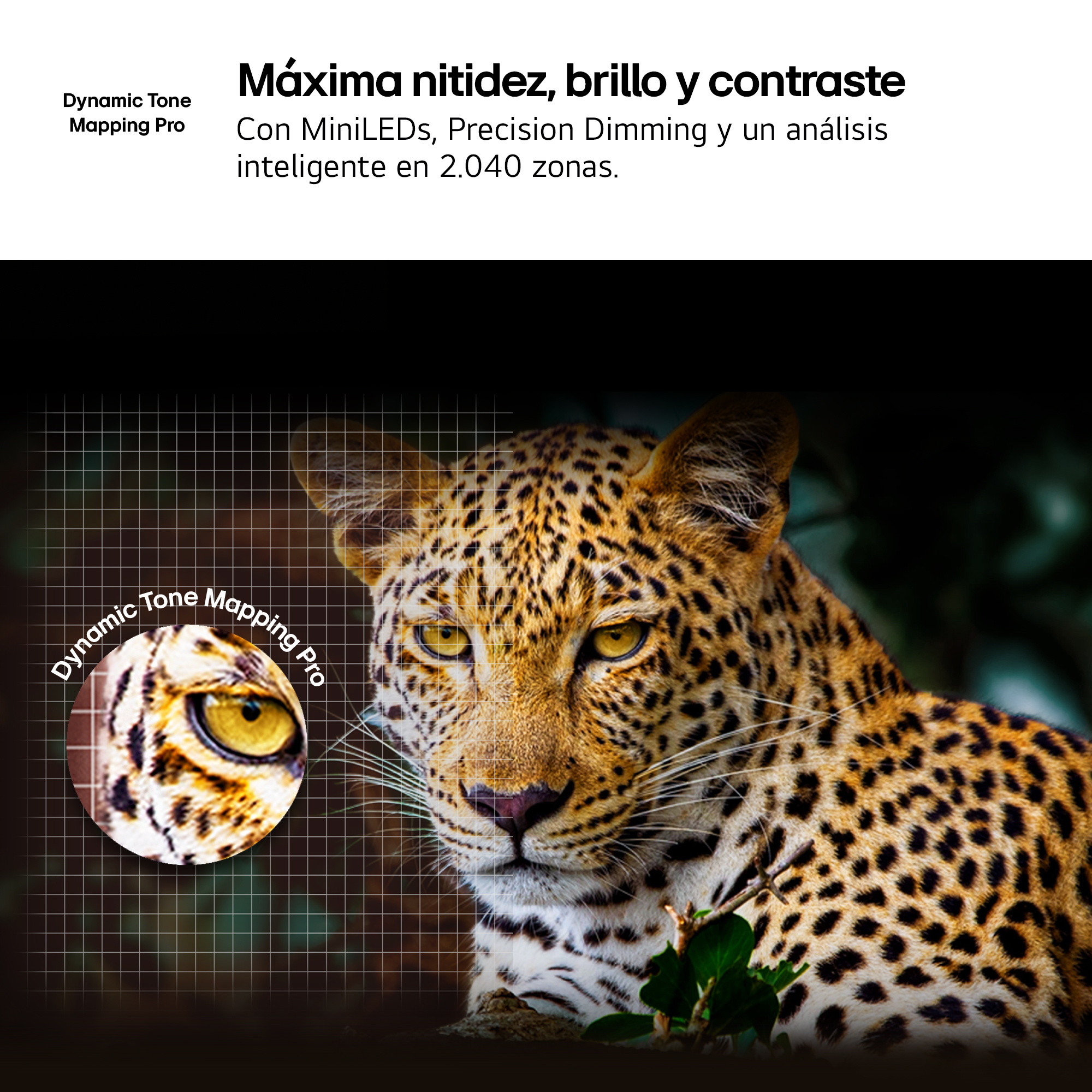 Un leopardo con ojos amarillos. El texto dice: Dynamic Tone Mapping Pro. También visible: Máxima nitidez, brillo y contraste.