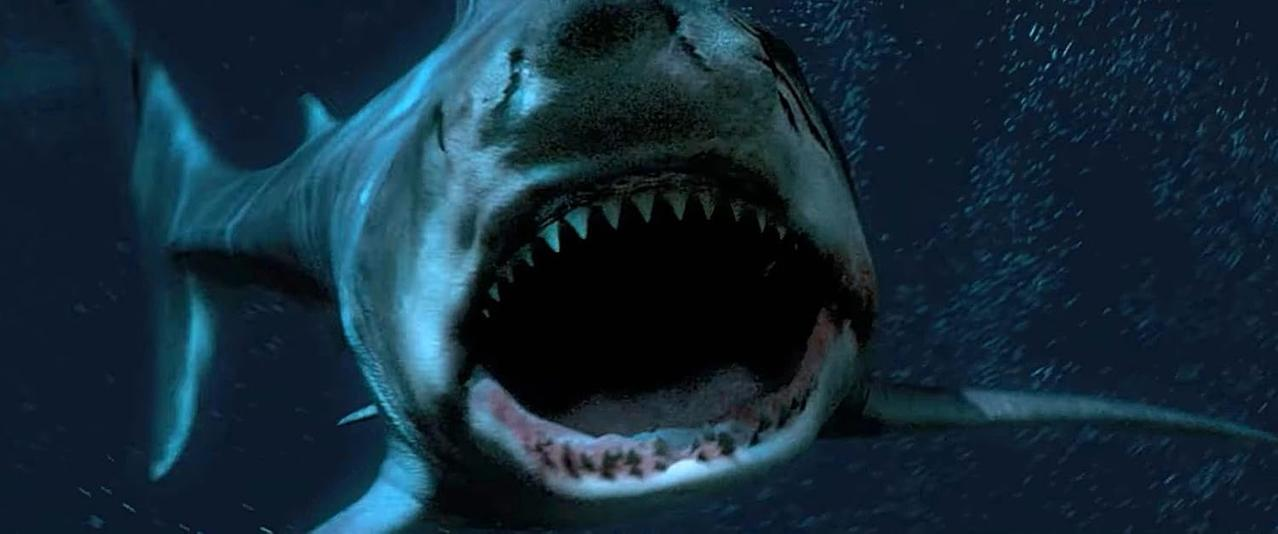 Ein großer Weißer Hai mit offenem Maul, Zähne zeigend, in dunklem Wasser. Der Hai kommt auf den Betrachter zu.