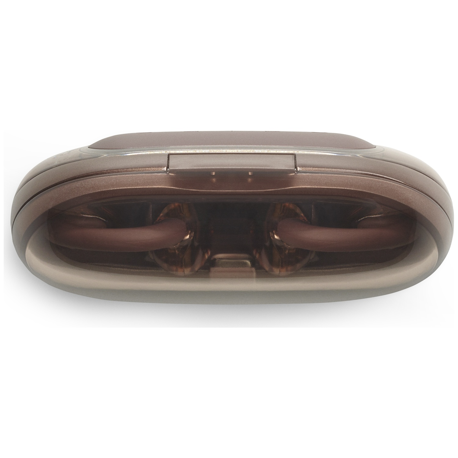 Un objet marron de forme ovale avec un dessus transparent et courbé. À l'intérieur, deux structures tubulaires marron. Le fond est blanc.