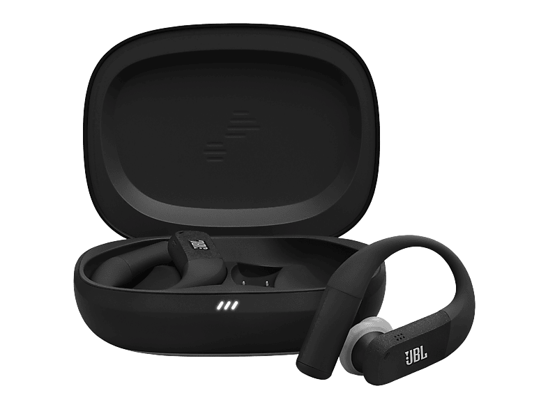 JBL Endurance Peak 4 Grijs