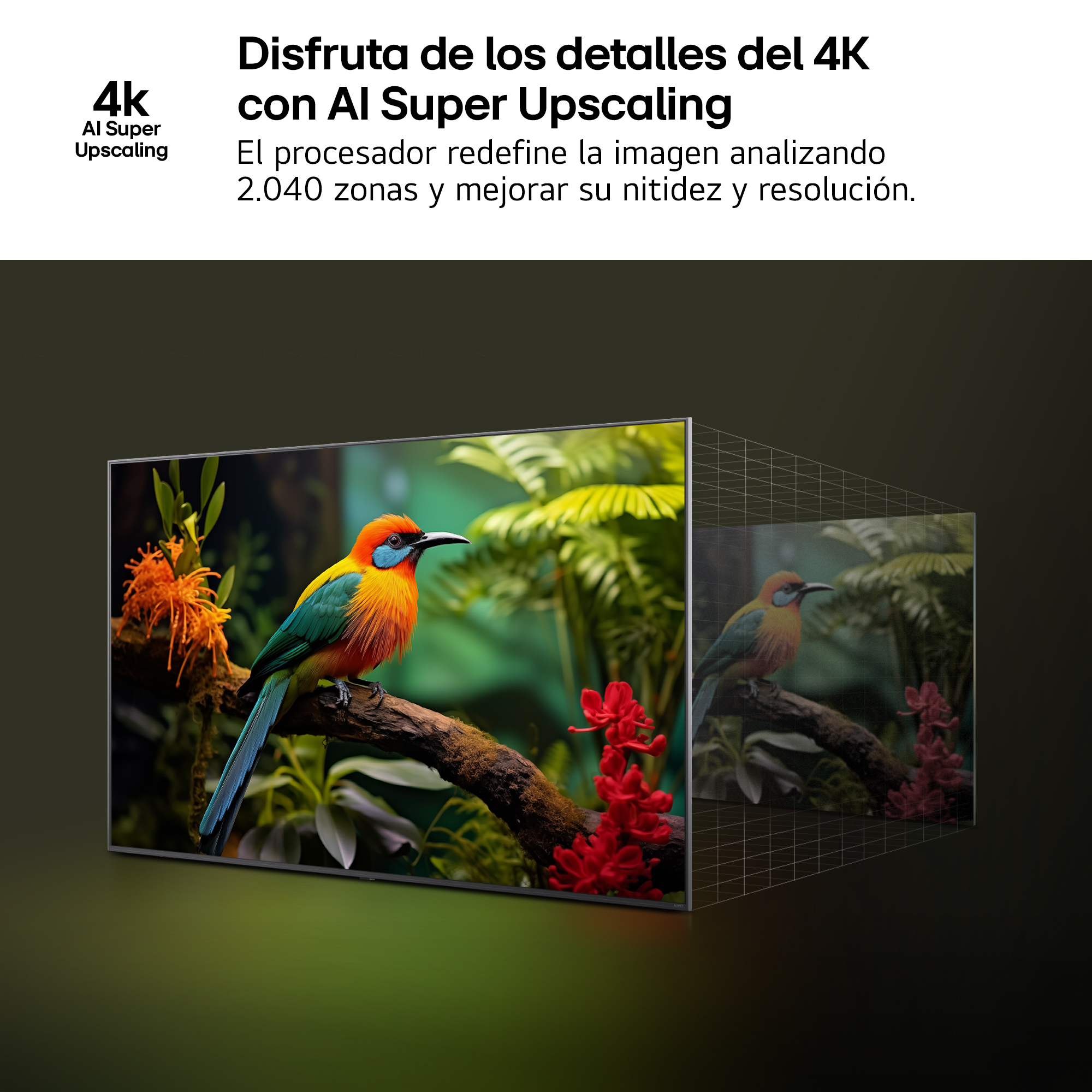 Un pájaro vibrante en una rama se muestra en una pantalla de TV. También se ven flores rojas, follaje naranja y hojas verdes.