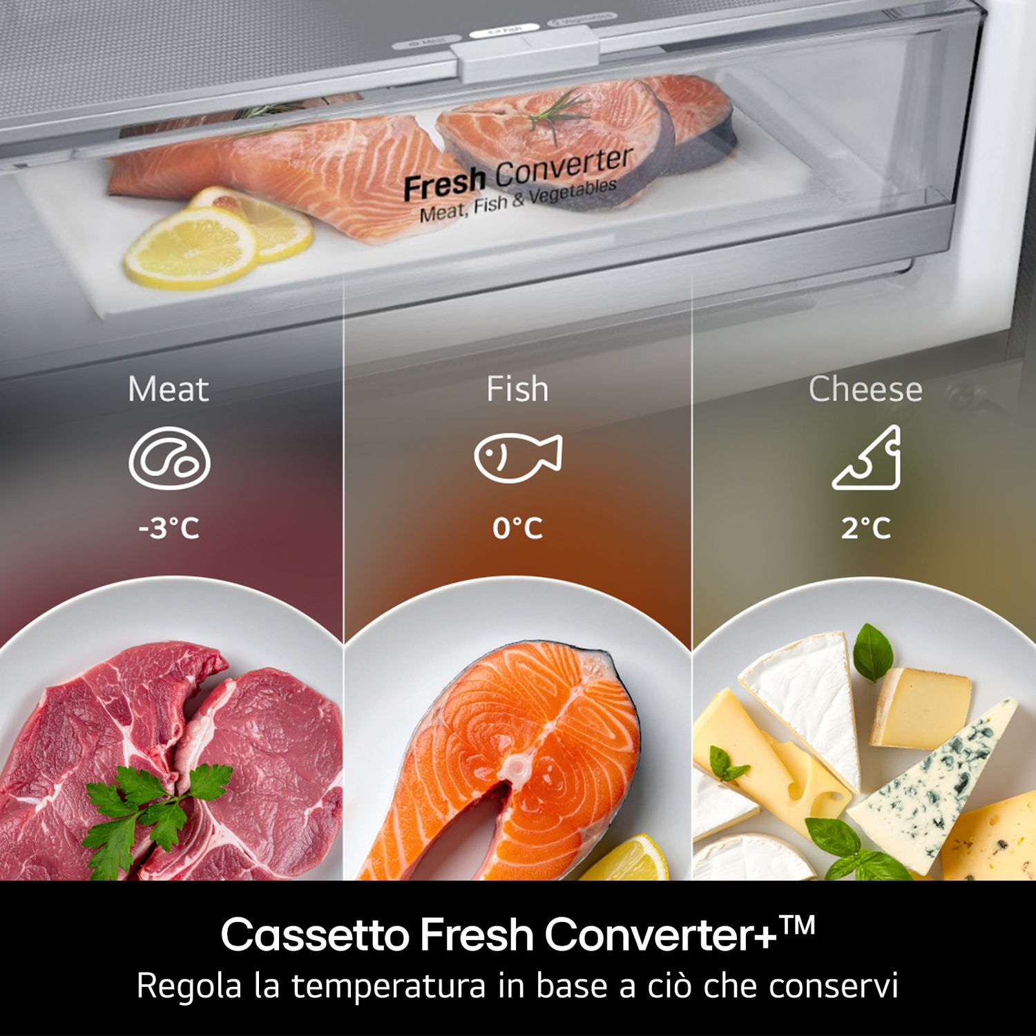 Cassetto frigorifero con salmone e fette di limone. Sotto, carne, pesce e formaggio sono mostrati con le rispettive temperature.