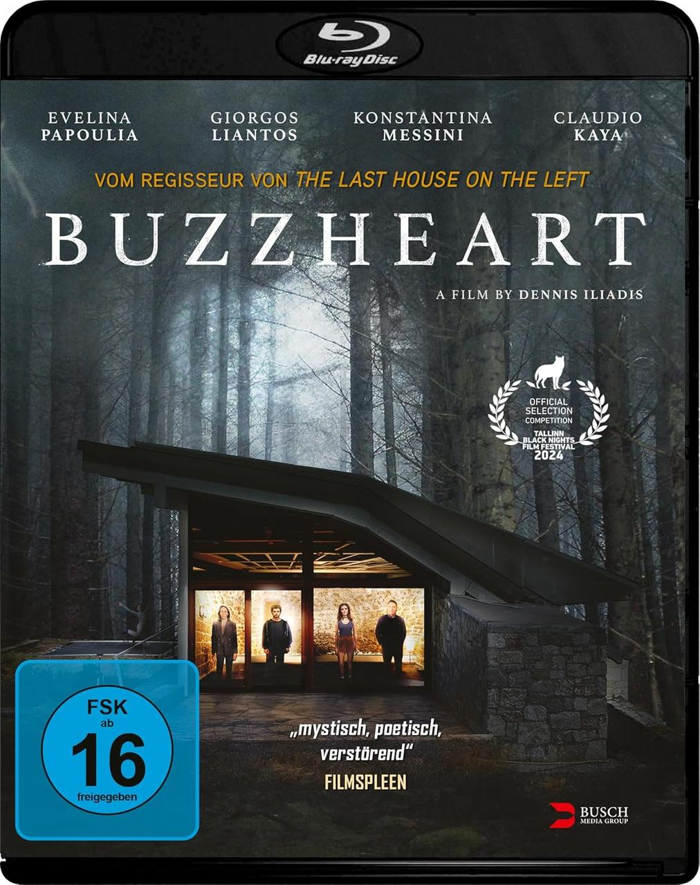 Filmcover: 'Buzzheart'. Personen stehen in einem Gebäude, Waldhintergrund. Blu-ray Disc, Altersfreigabe 16.