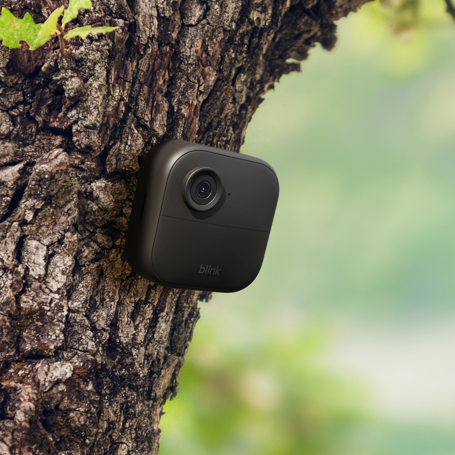 Una telecamera di sicurezza Blink nera è montata su un tronco d'albero. La corteccia è marrone. Fogliame verde sullo sfondo sfocato.