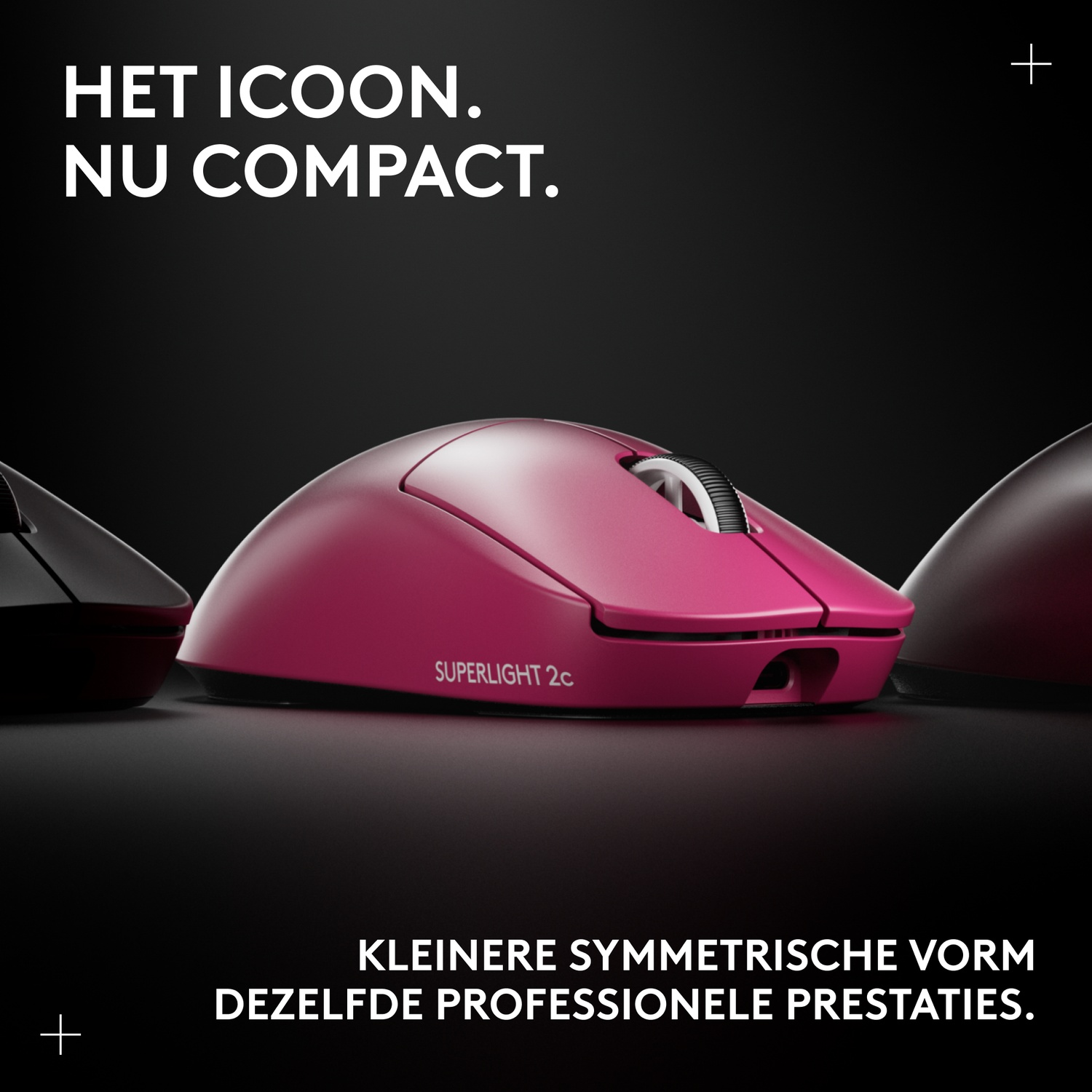 A pink, black, and dark red mouse are on a black background. Text reads 'HET ICOON. NU COMPACT.' and 'KLEINERE SYMMETRISCHE VORM'.
