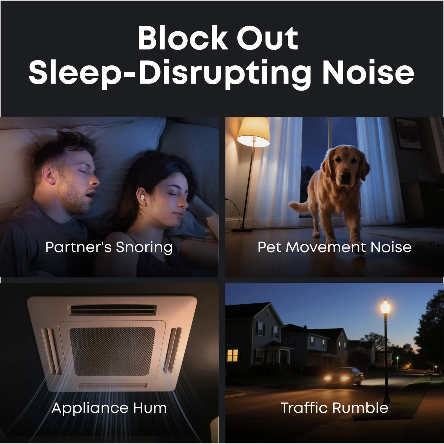 Image shows sources of noise: snoring, pet, appliance hum, and traffic. People sleeping, a dog, a ceiling vent, and a street at night.