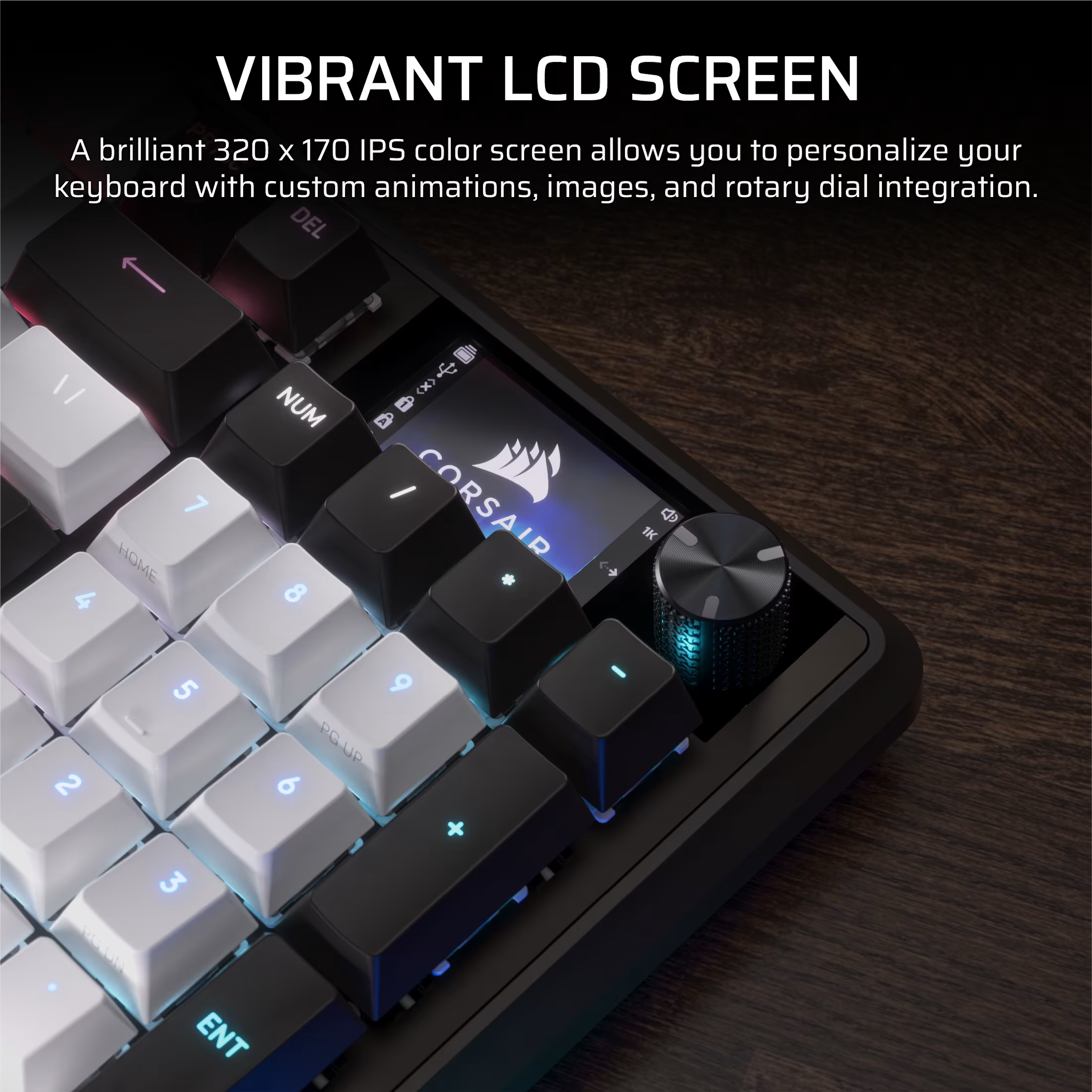 Gros plan sur un clavier avec un écran LCD affichant le logo Corsair. Les touches sont noires et blanches avec des lumières bleues.