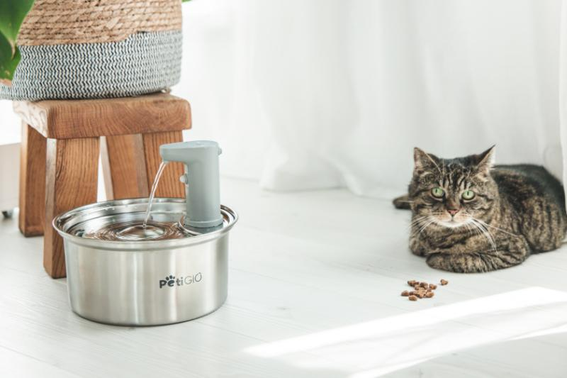 Kot leży w pobliżu fontanny. Mały drewniany stołek trzyma kosz. Jedzenie dla kota leży na podłodze.