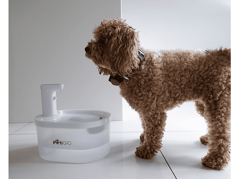 PetiGIO Smart PETI-TO-EAT Fontanna – zdjęcie 3