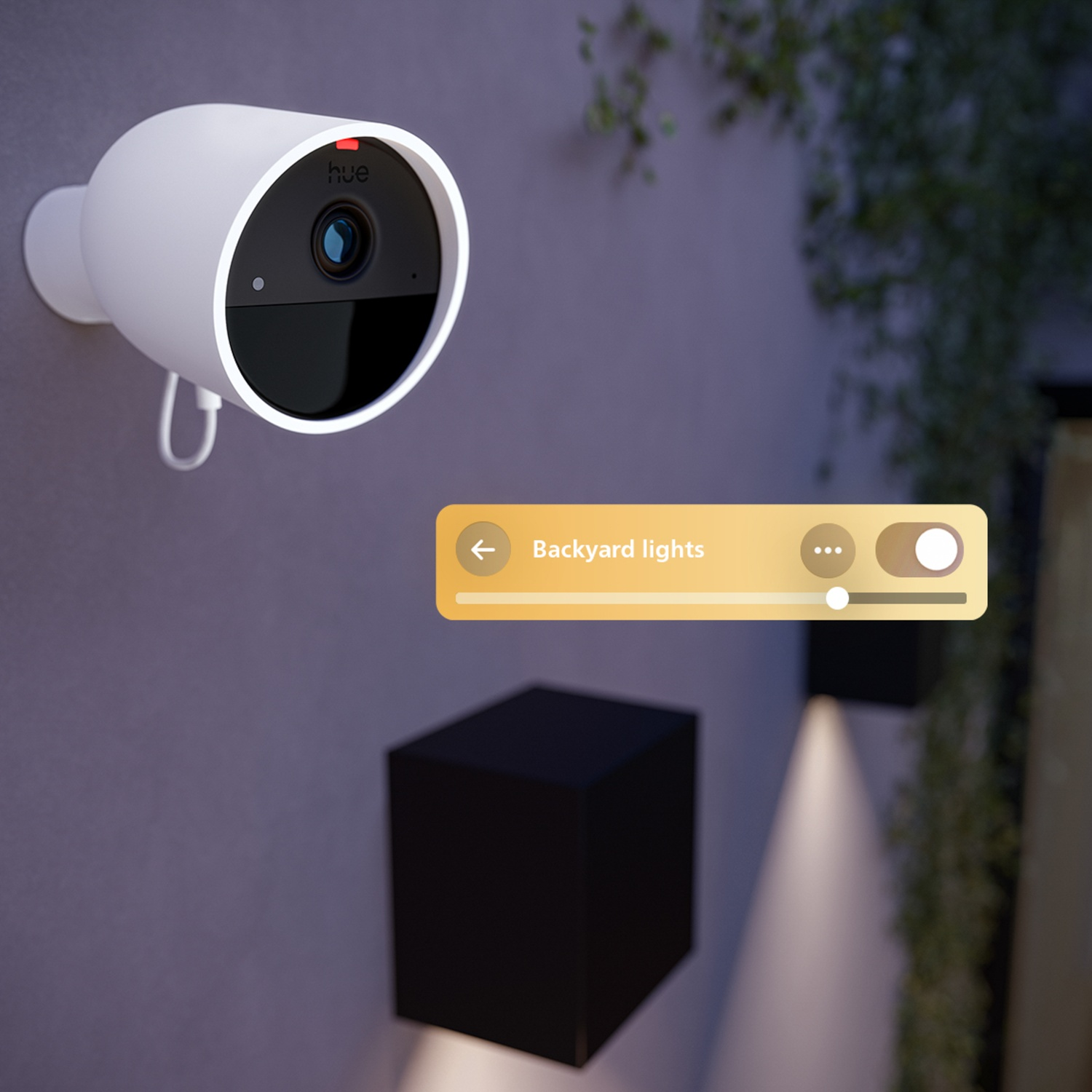 A white security camera is mounted on a wall. A control panel for backyard lights is displayed. A black square object and plants are in the scene.