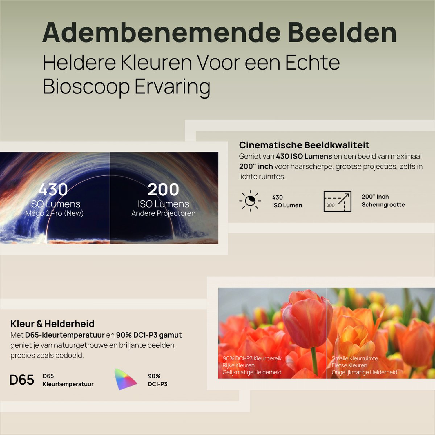 Afbeelding toont tekst over een projector, met specificaties over lumen en kleur. Bevat afbeeldingen van kleurrijke tulpen.