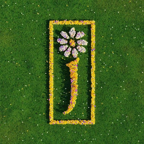 Eine Blume und der Buchstabe „j“ sind aus gelben Blumen geformt und von einem gelben Rechteck auf grünem Gras umgeben.