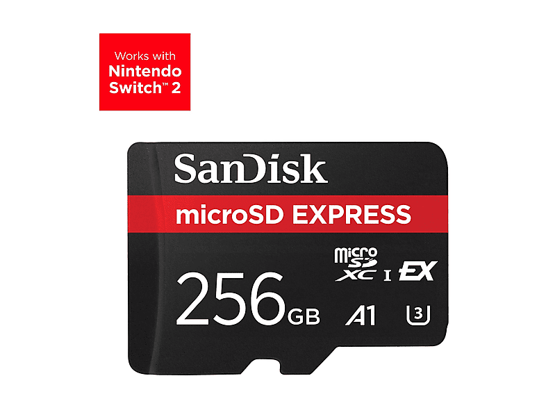 Scheda DI Memoria SanDisk Express 256Gb