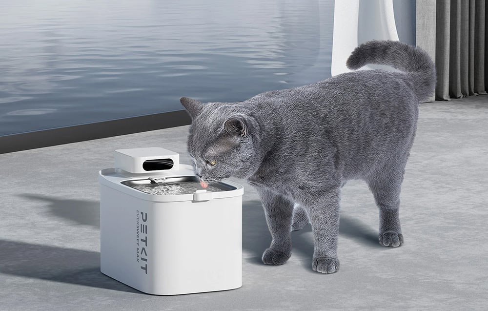 Egy szürke macska vizet iszik egy fehér PETKIT vízforrásból. A háttérben egy vízfelület és egy ablak látható.
