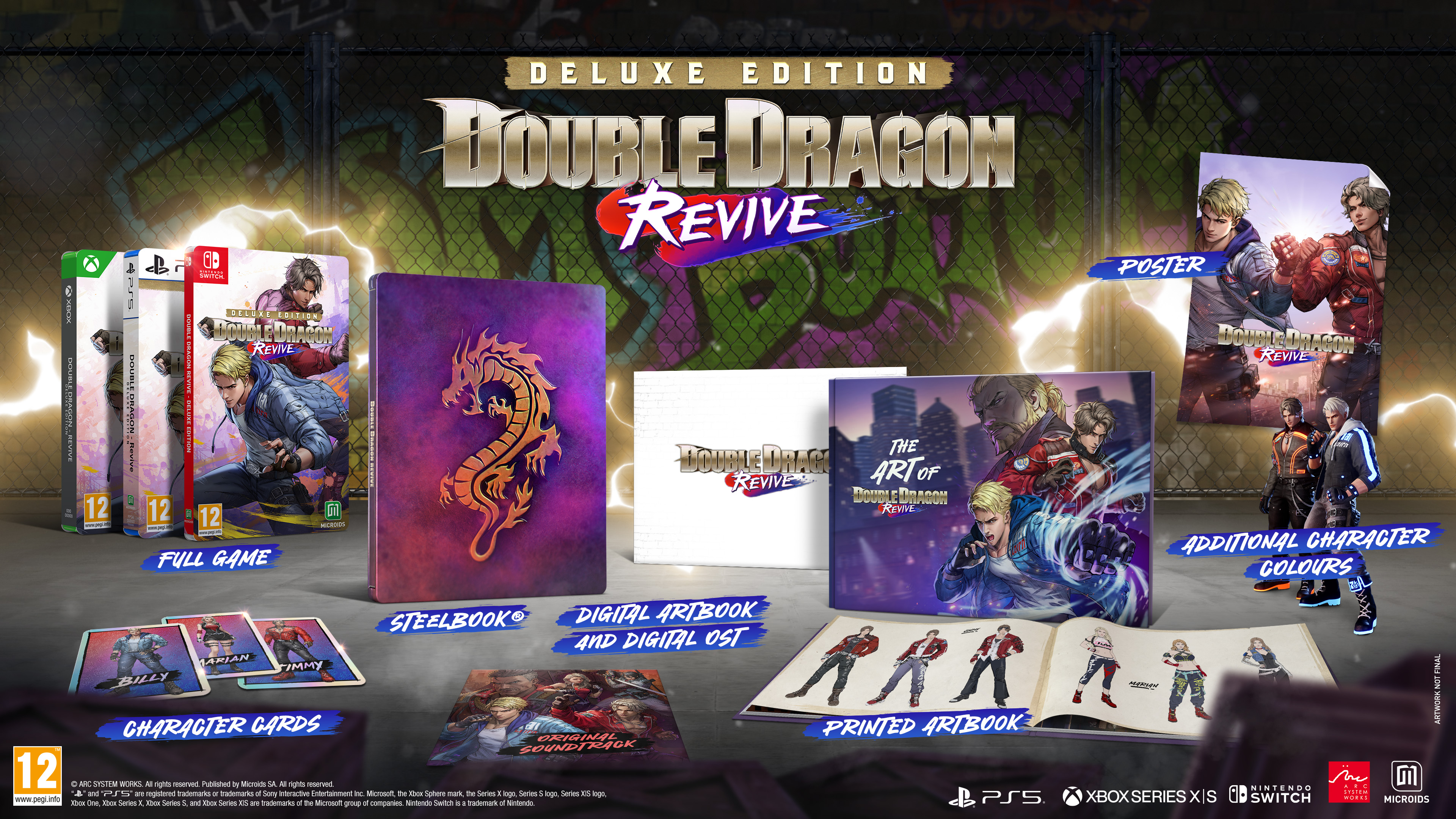 Edycja Deluxe Double Dragon Revive. Zawiera pudełka z grami, Steelbook, artbook, karty postaci i plakat.