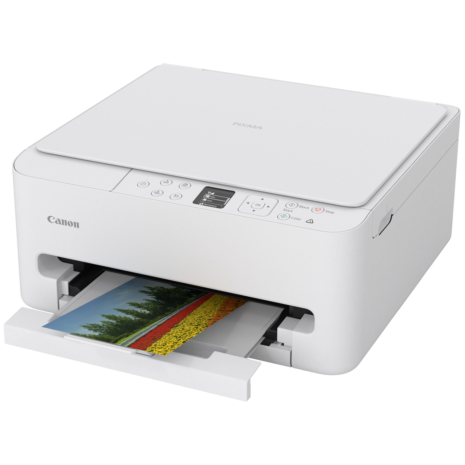 Une imprimante Canon Pixma blanche est montrée. Une image imprimée de fleurs colorées sort de l'imprimante.
