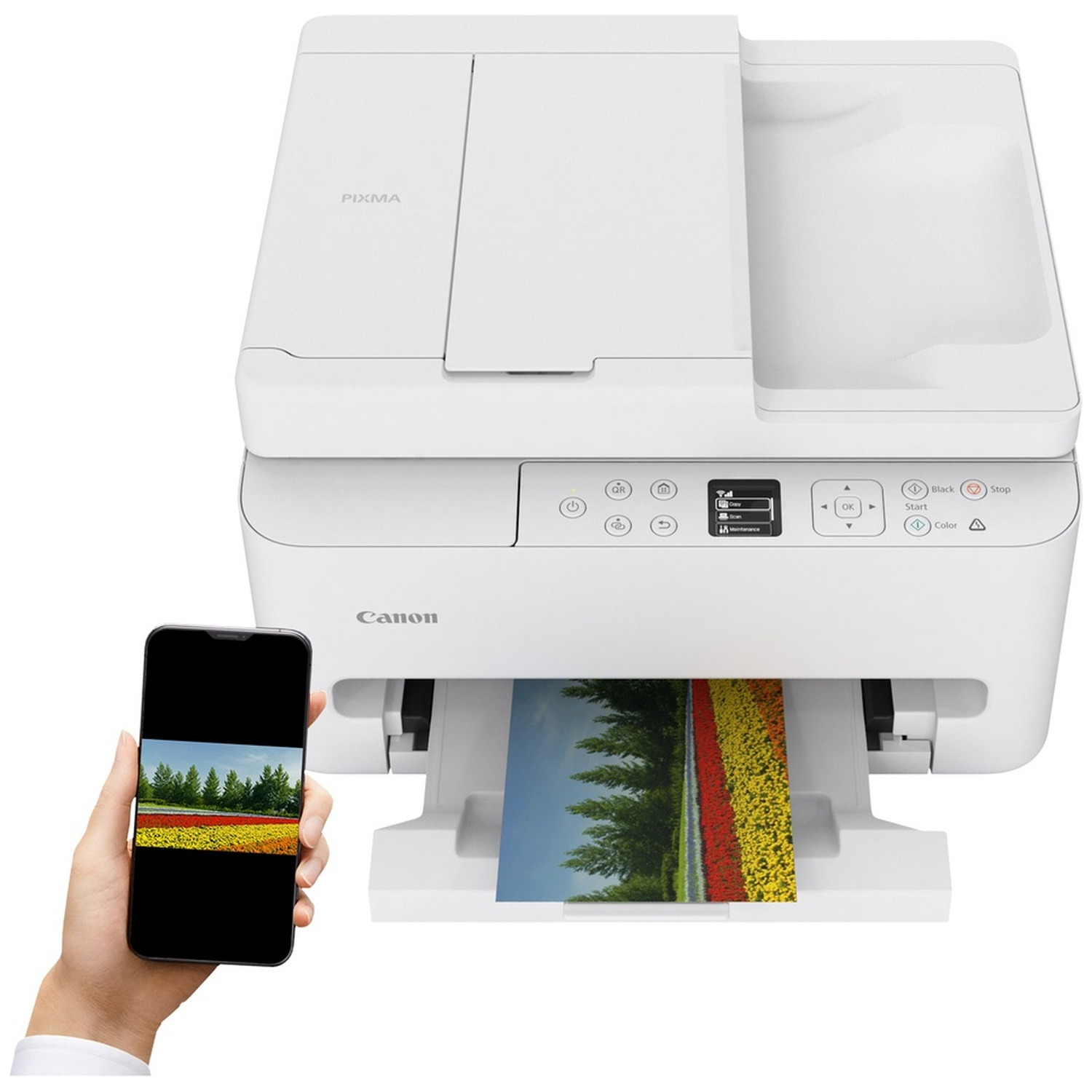 A white Canon printer is printing a colorful image. A hand holds a phone displaying a similar image of flowers.