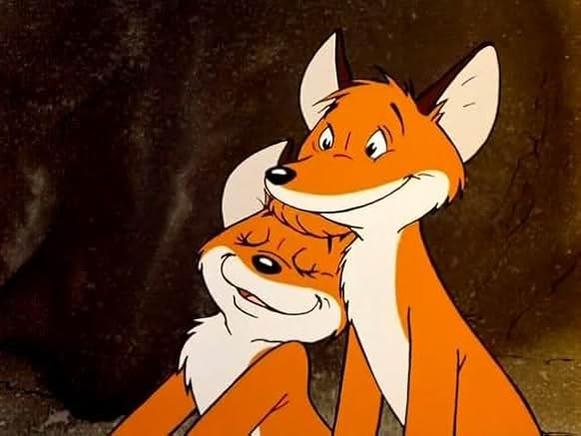 Zwei orange Füchse umarmen sich. Ein Fuchs legt seinen Kopf auf die Schulter des anderen. Der Hintergrund ist dunkel und verschwommen.