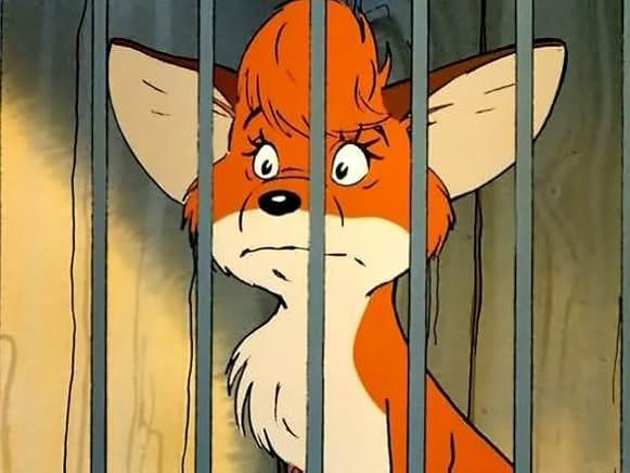 Cartoon-Fuchs mit orangefarbenem Fell und traurigem Gesicht hinter Gittern. Der Hintergrund ist blau.