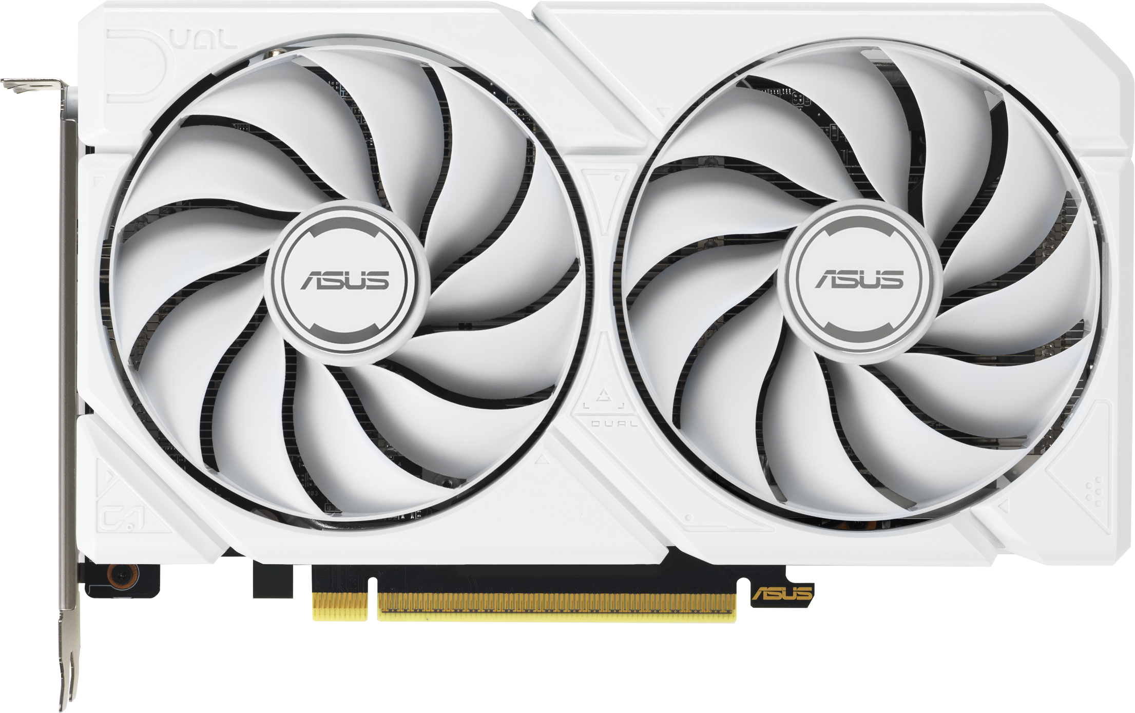 Une carte graphique ASUS blanche. Deux grands ventilateurs dominent l'avant. La carte possède un connecteur doré et un boîtier blanc.