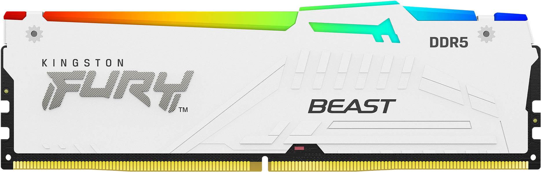 Weißer DDR5-RAM-Riegel mit farbenfrohem Oberteil, Kingston FURY BEAST-Logo. Goldene Anschlüsse unten. DDR5-Text sichtbar.