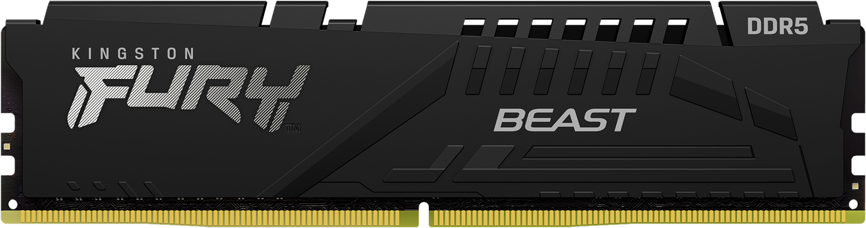 Schwarzes Kingston FURY Beast DDR5 RAM-Modul. Text lautet 'KINGSTON FURY', 'BEAST' und 'DDR5'.