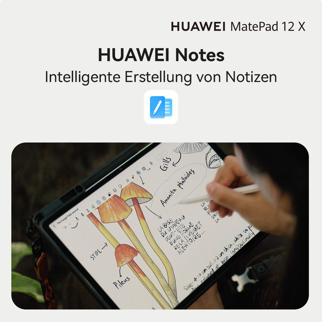 Eine Person zeichnet ein Pilzdiagramm auf einem Tablet. Auf dem Tablet sind Pilzillustrationen zu sehen. Der Text enthält Beschriftungen und Anmerkungen.