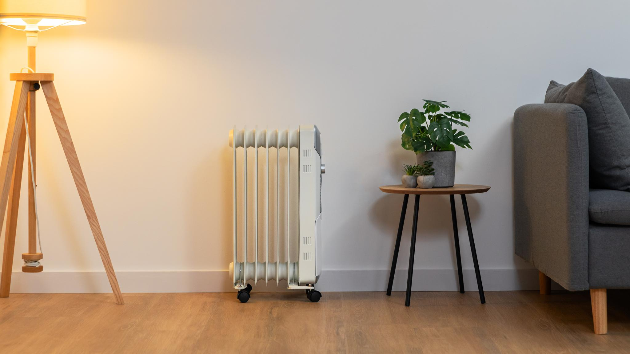 Una sala de estar con lámpara de pie, radiador, mesa pequeña con plantas y un sofá gris.
