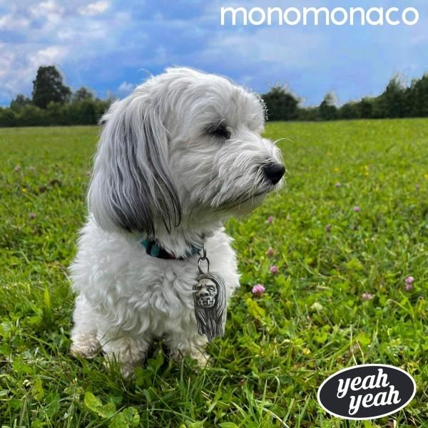 Ein kleiner weißer Hund mit grauen Flecken sitzt auf einer grünen Wiese. Er trägt einen Anhänger. Im Hintergrund sind Bäume und ein bewölkter Himmel zu sehen.