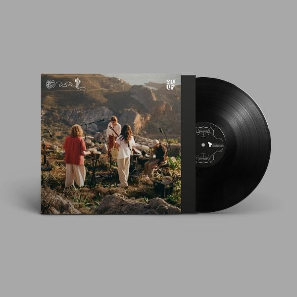 Eine Schallplatte mit einer Band, die auf einem Hügel mit landschaftlichem Hintergrund spielt. Die Band hat vier Mitglieder, die Instrumente spielen.