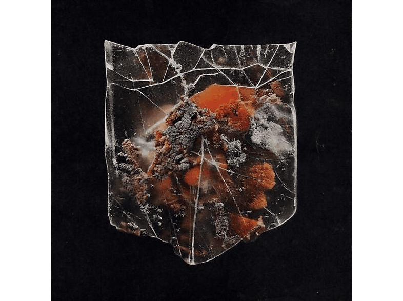 The Shields - Death & Connection [CD]