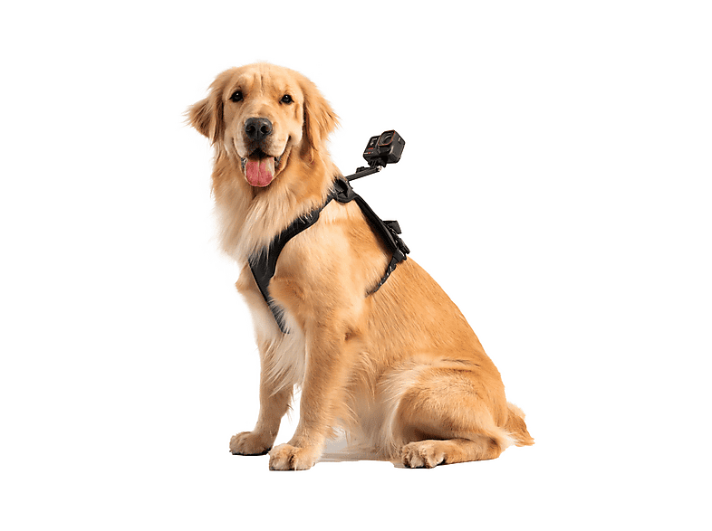 Thumbnail - INSTA360 857821, Haustiergeschirr-Halterung Größe L, Schwarz