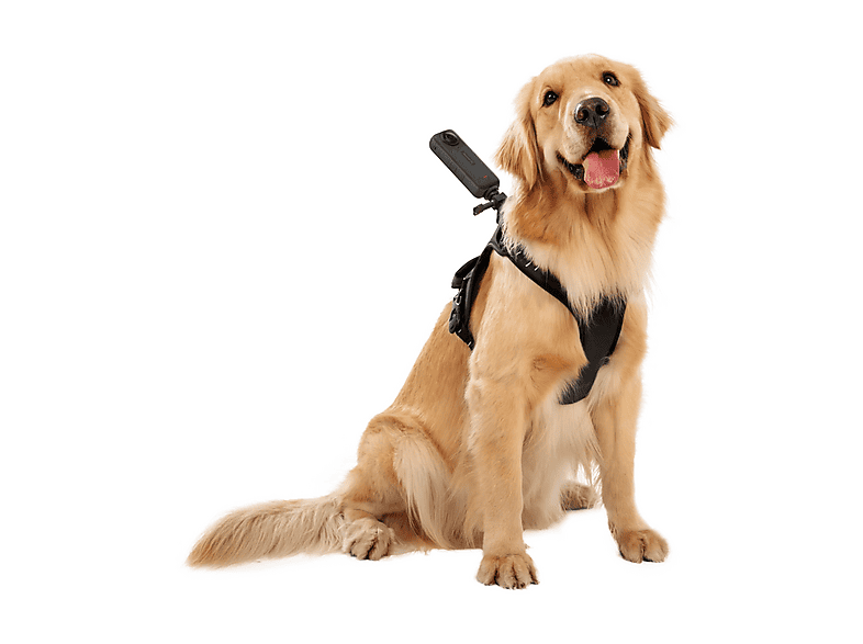 Thumbnail - INSTA360 857821, Haustiergeschirr-Halterung Größe L, Schwarz