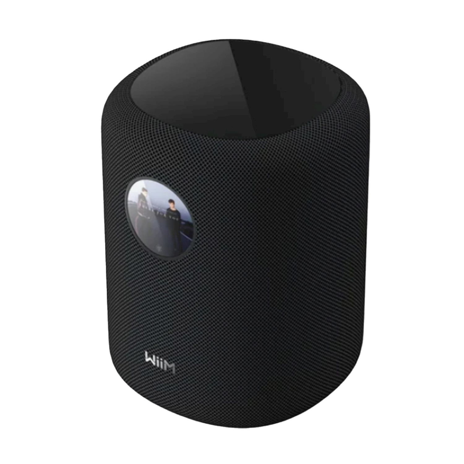 Cassa Hi-Fi Frontali WiiM Sound, Potenza totale 100 W, Numero di casse 1, Nero