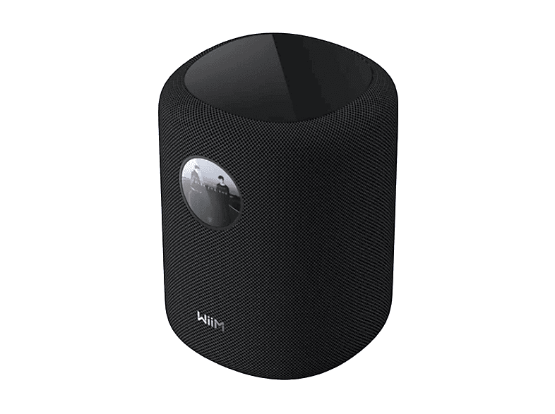 Cassa Hi-Fi Frontali Wiim Sound, Potenza Totale 100 W, Numero Di Casse 1, Nero