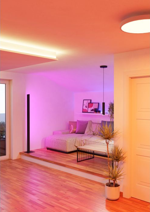 Un moderno soggiorno con divano, lampada nera e pianta. La stanza è illuminata da luci rosa e arancioni.