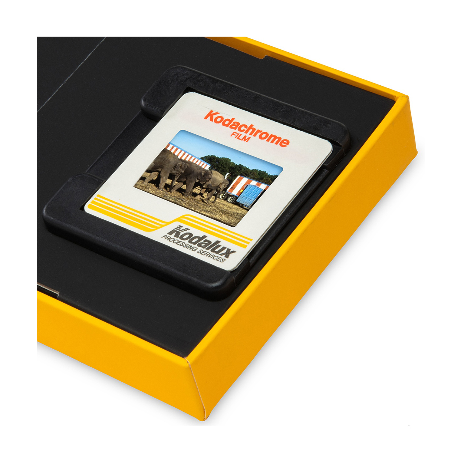 Una diapositiva Kodachrome in un supporto nero, all'interno di una scatola gialla. La diapositiva mostra elefanti e un carro da circo. La scatola è su una superficie bianca.