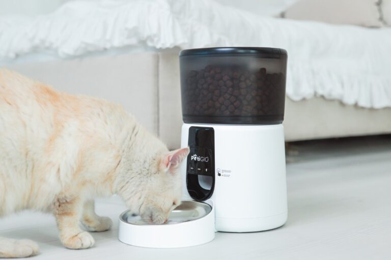 Kremowy kot je z miski. Biały podajnik karmy stoi obok kota. Łóżko jest w tle. Podajnik ma jedzenie.