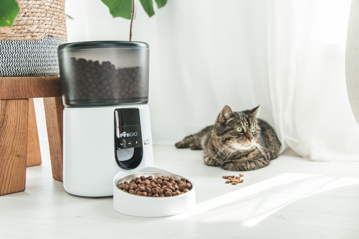 Kot leży w pobliżu automatycznego podajnika karmy dla zwierząt. Podajnik jest biały z czarnym wierzchem i miską z jedzeniem.