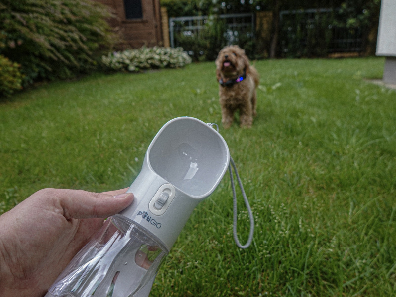 Osoba trzyma butelkę z wodą dla psa przed psem na zielonym trawniku. Pies jest brązowy i ma obrożę.