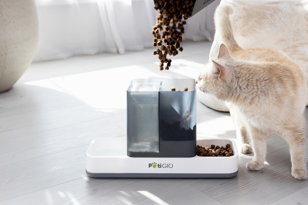 Kot obserwuje wsypywanie jedzenia do karmnika. Karmnik jest biało-szary. Sucha karma spada z pojemnika.