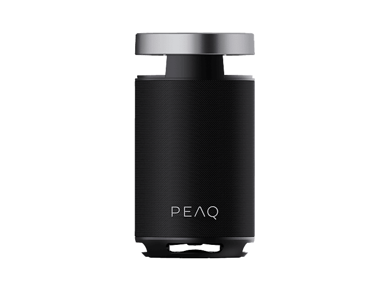 PEAQ PPS 170 Partyspeaker, Schwarz