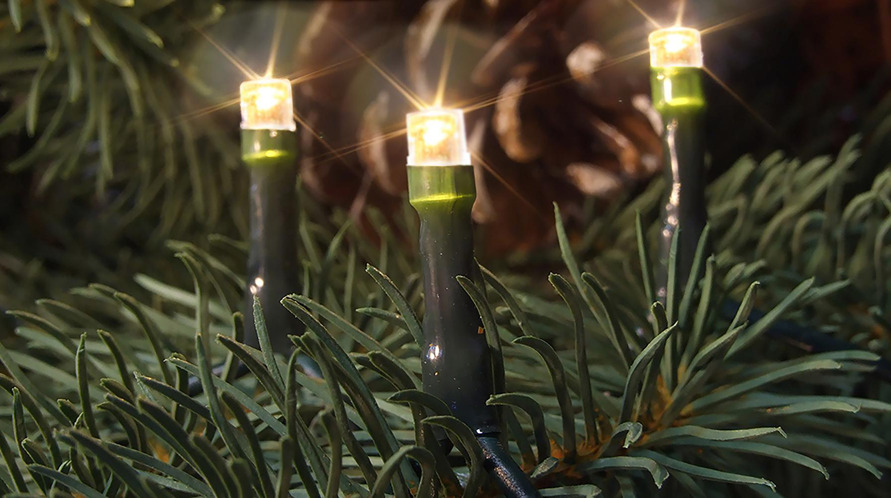 Nahaufnahme von Weihnachtslichtern an einem Tannenbaum. Drei Lichter sind im Fokus und leuchten hell. Grüne Nadeln umgeben sie.