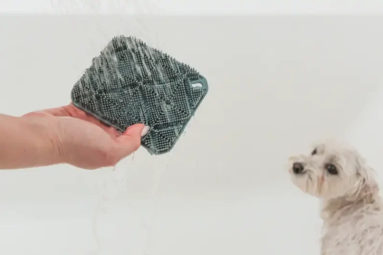 Ręka trzyma szarą szorowarkę nad białym psem w wannie. Pies patrzy w górę z ciekawością.