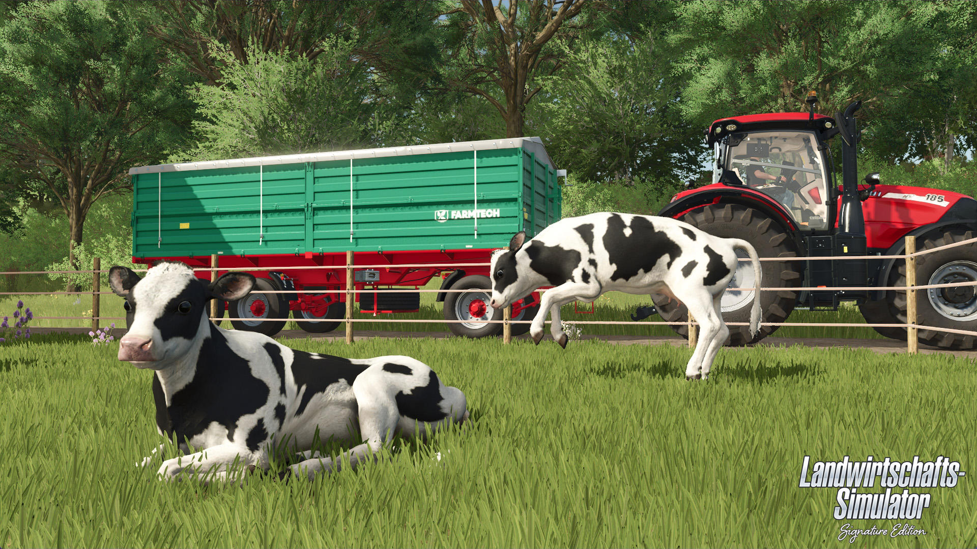Ein schwarz-weißes Kalb liegt im grünen Gras, ein anderes springt. Ein grüner Anhänger und ein roter Traktor sind im Hintergrund.
